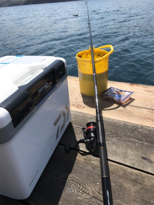 リベンジデカアジ