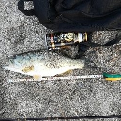 今年初バスゲット❗