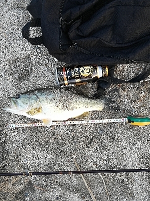 今年初バスゲット❗