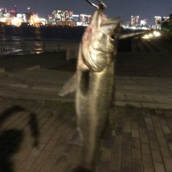 バチパターン三度