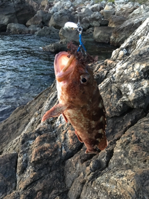 ナイスガッシー♪