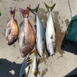 スロージギング