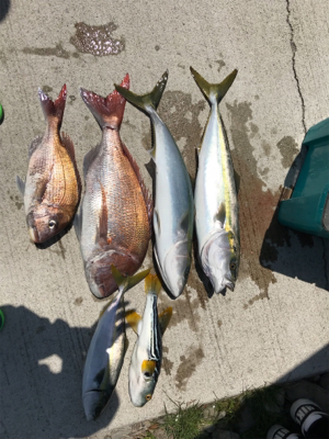 スロージギング