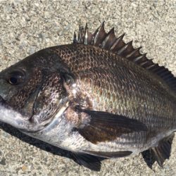 今日は暑いですね〜