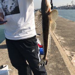 全く引かない魚！？