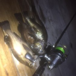 メバルシーズン到来