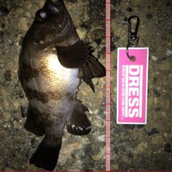 激シブの翌日はまぁまぁ