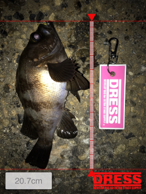 激シブの翌日はまぁまぁ