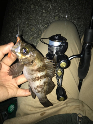 ちょこっとメバリングへ