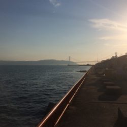 祝！平磯マダイシーズン開幕！