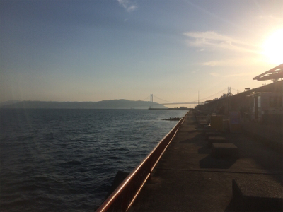 祝！平磯マダイシーズン開幕！