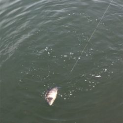 ランガンしたけど、、。