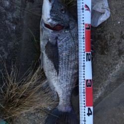 久しぶりのチニング