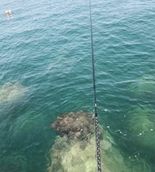 お昼からラン岸、エギング