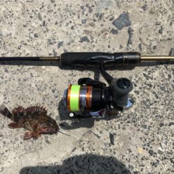 メバリングのはずが…