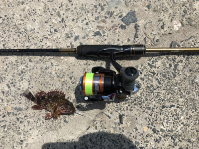 メバリングのはずが…