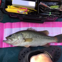 社内対抗バス釣り大会