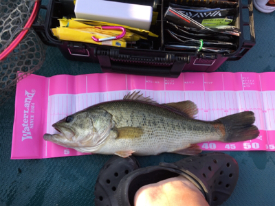 社内対抗バス釣り大会