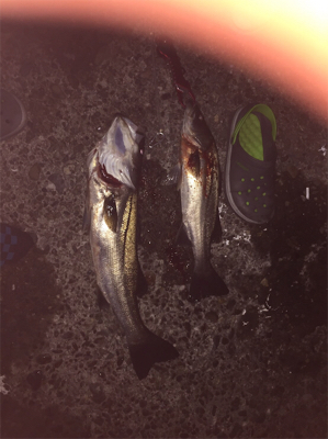 セットアッパーやりますねぇ