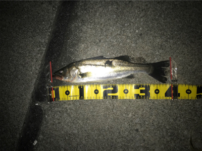 四日市港周辺運河