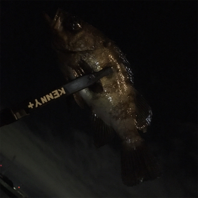 久々の釣りです。果たして釣果は？