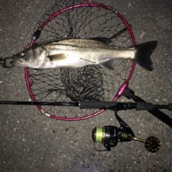 ダブルヘッダー