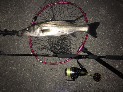 ダブルヘッダー