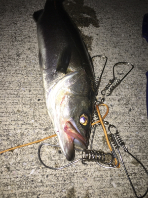 バチは抜けてなかったが、、、