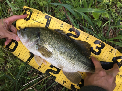 友人とブラックバス