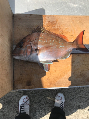 今年第1号（≧∇≦）