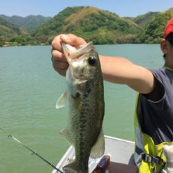 釣りをするにはいい季節になりましたね