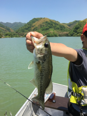 釣りをするにはいい季節になりましたね