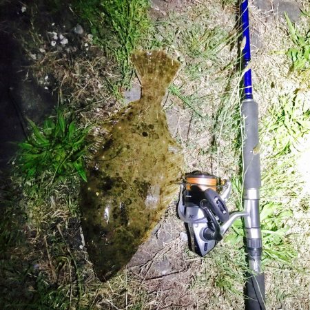 バイブレーションで平目