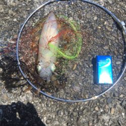 ゴールデンウィーク初日