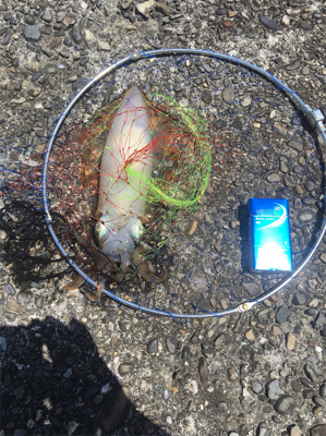 ゴールデンウィーク初日