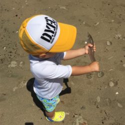 ガッチョフグキス