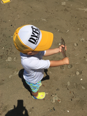 ガッチョフグキス