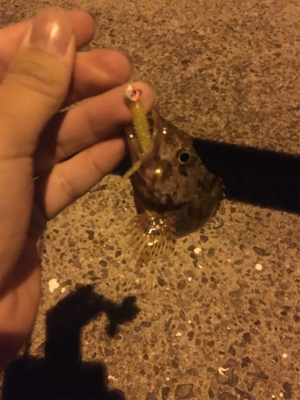 ベイビー&ベイビー