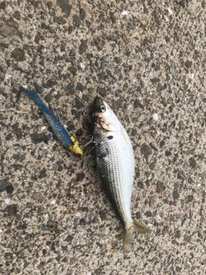 目的なのか手段なのか