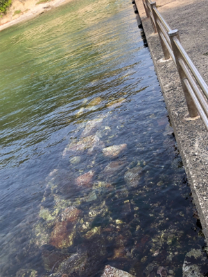 気楽にフィッシング！