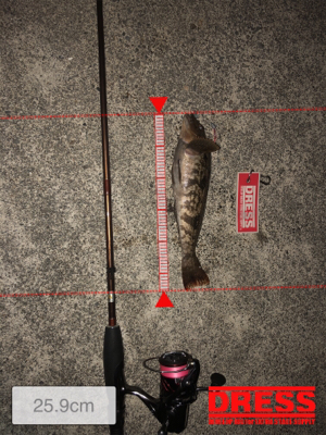 ボトムワインド