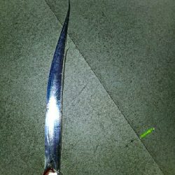 春タチに会いたくて