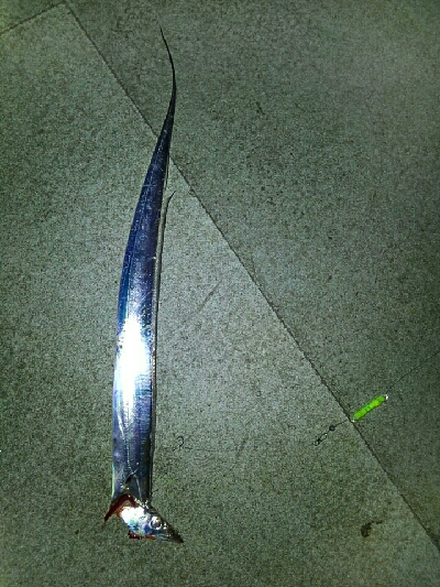 春タチに会いたくて