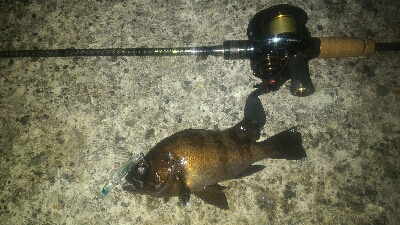 爆風メバリング