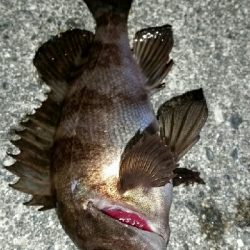 釣りのしやすい季節