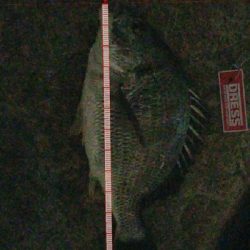 暴風から一転！