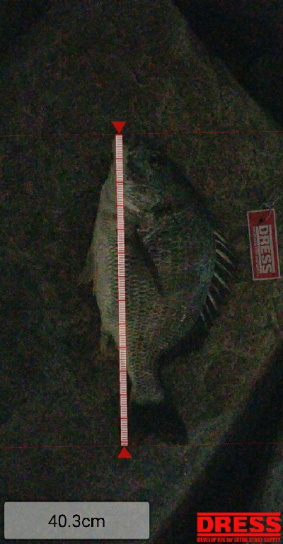 暴風から一転！