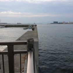 いつもの場所にアジングに行きました・・・