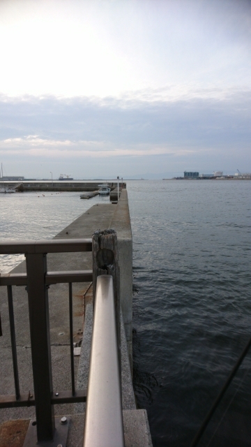 いつもの場所にアジングに行きました・・・