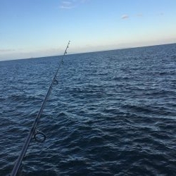 こんなところで！？